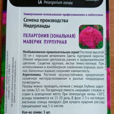 Пеларгония зональная Маверик Пурпурная 5 шт ПОИСК