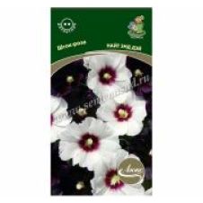 Шток-роза Найт энд Дэй (ЦВ) (