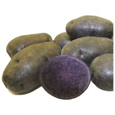 Картофель семенной Фиолетовый (элита) 2,5 кг