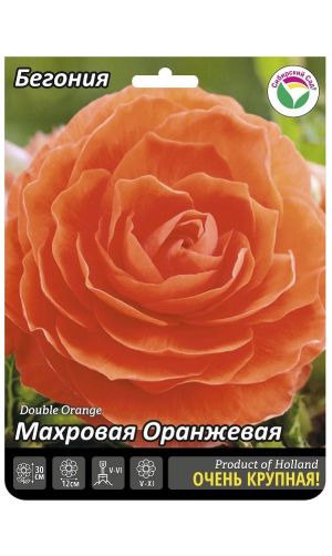 Бегония Махровая крупная Оранжевая Сибирский сад