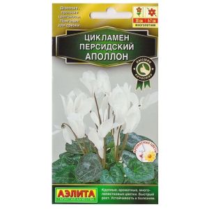 Цикламен персидский Аполлон 3 шт Аэлита