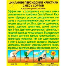 Цикламен персидский Кристиан смесь окрасок 3 шт Аэлита
