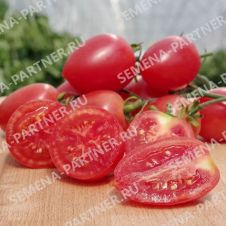 Томат АГРОДЕНС F1 0,05 г Партнер