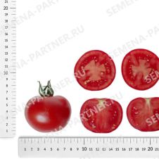 Томат ДЕРЗКИЙ ФРАНК F1 5 шт Партнер