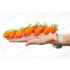 Партнер Томат ЛЯ МУР F1 (5шт)