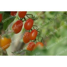 Партнер Томат ЛЯ МУР F1 (5шт)