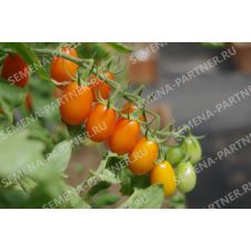 Партнер Томат ЛЯ МУР F1 (5шт)