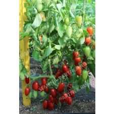 Партнер Томат ДЖЕК ПОТ F1 5 шт.