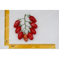 Партнер Томат ДЖЕК ПОТ F1 5 шт.