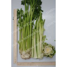 Сельдерей черешковый МАЛАХИТ 0,3 гр. Партнер