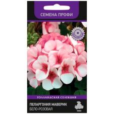 Пеларгония (зональная) Маверик Бело-розовая (ЦВ) (