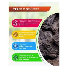 БиоГумат из бурого угля 250 мл БИО-комплекс