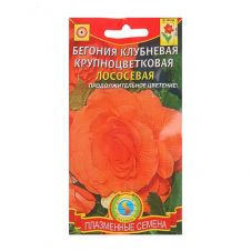 Бегония клубневая Лососевая 5 шт