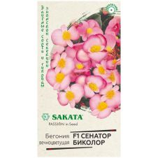 Бегония Сенатор Биколор F1 вечноцветущая 5 шт Гавриш Sakata