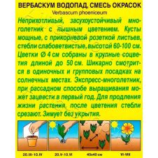 Вербаскум Водопад смесь окрасок 0,1 г Аэлита