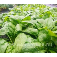Шпинат МАТАДОР 5 г Партнер