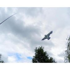 Отпугиватель птиц динамический Канюк