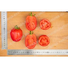 Томат СИНДБАД F1 0,5 г.