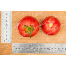 Томат СИНДБАД F1 0,5 г.