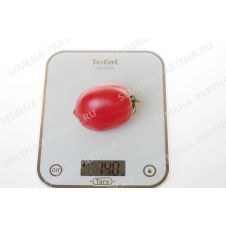 Томат СИНДБАД F1 0,5 г.