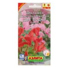 Цикламен персидский Две лодки смесь окрасок 3 шт Аэлита