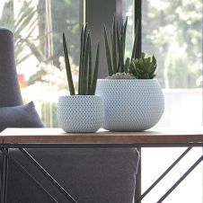 Кашпо для цветов Splofy Bowl голубой 9 л.