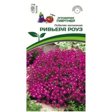 Лобелия каскадная РИВЬЕРА РОУЗ 10 шт