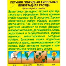 Петуния Виноградная гроздь каскадная, смесь окрасок 0,1 г Аэлита