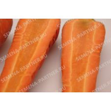 Морковь РЕД КОР 1 г Партнер