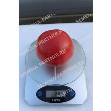 Томат МАЛИНОВЫЙ МУСС F1 10 шт