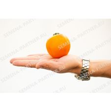 Томат ОРАНЖЕВАЯ МАМА F1 0,05 г