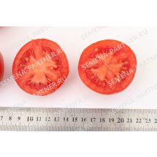 Томат СОФА F1 0,05 г