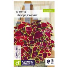 Колеус Визард Скарлет 5 шт Семена алтая