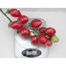 Томат МАЛИНОВОЕ ПЛАМЯ F1 10 шт
