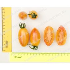 Томат КОТЯ F1 10 шт