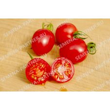 Томат МОНЕ F1 10 шт