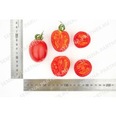 Томат МОНЕ F1 10 шт