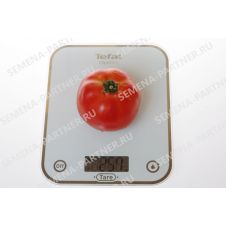 Томат КАСТЕЛЬЯНО F1 5 шт