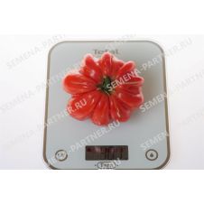 Томат НИНА 10 шт