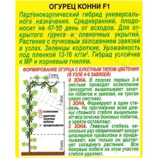 Огурец Конни F1 Аэлита