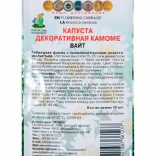 Капуста декоративная Камоме Вайт 10 шт ПОИСК