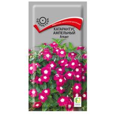 Катарантус ампельный Атлант 10 шт