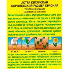 Астра Королевский размер красная 0,1 г АЭЛИТА