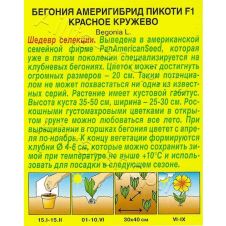 Бегония Америгибрид Пикоти F1 красное кружево 5 шт Аэлита