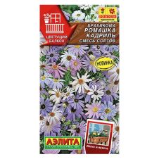 Брахикома Ромашка кадриль, смесь сортов 0,1 г Аэлита