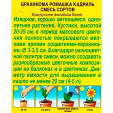 Брахикома Ромашка кадриль, смесь сортов 0,1 г Аэлита
