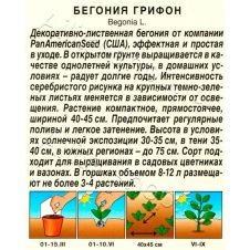 Бегония Грифон 3 шт АЭЛИТА