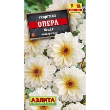 Георгина Опера белая 7 шт АЭЛИТА