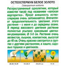 Остеоспермум Белое золото 0,1 г АЭЛИТА