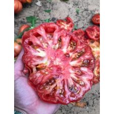 Томат Розовый Марманде F1 5 шт